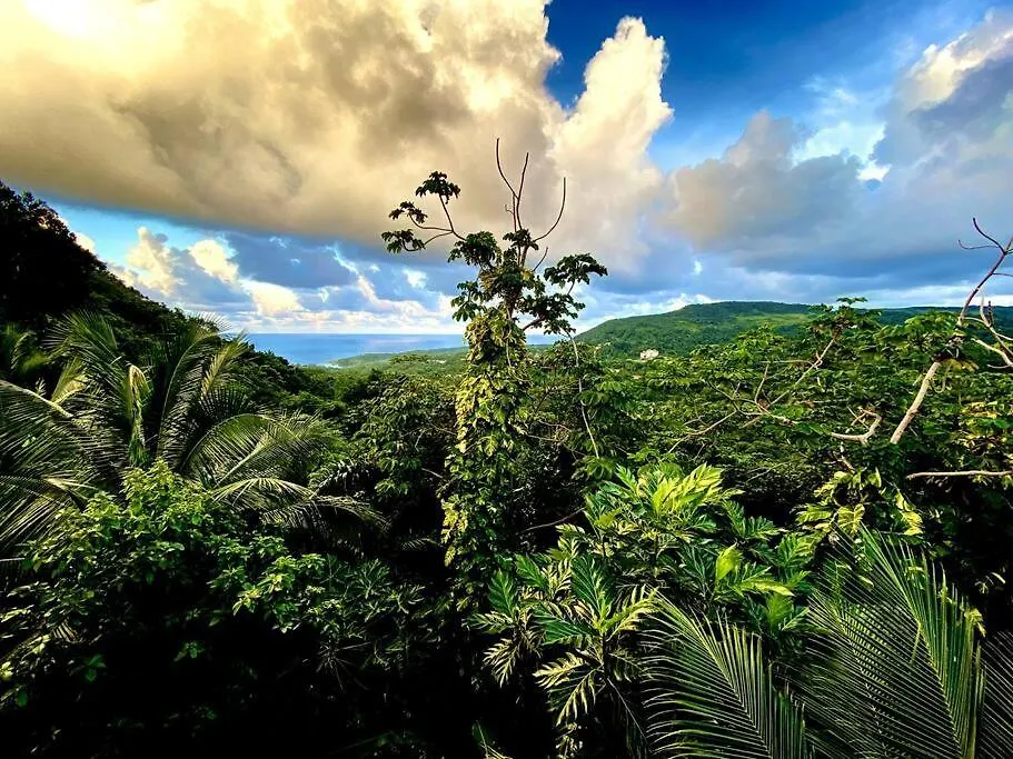 Magical San San Port Antonio Close To Blue Lagoon Frenchman\'S Cove contacts